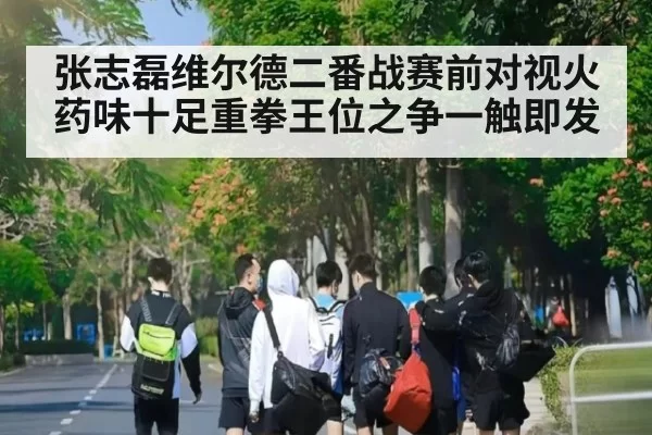 张志磊维尔德二番战赛前对视火药味十足重拳王位之争一触即发