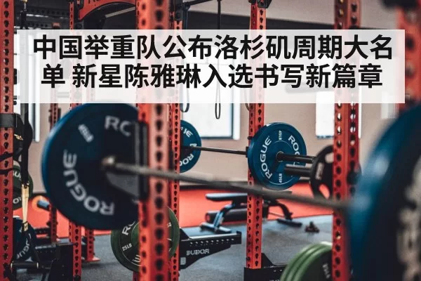 weightlifting barbell gym